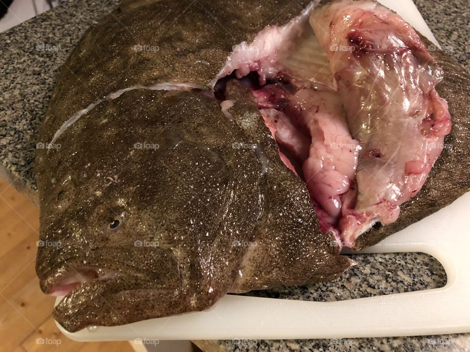 Turbot