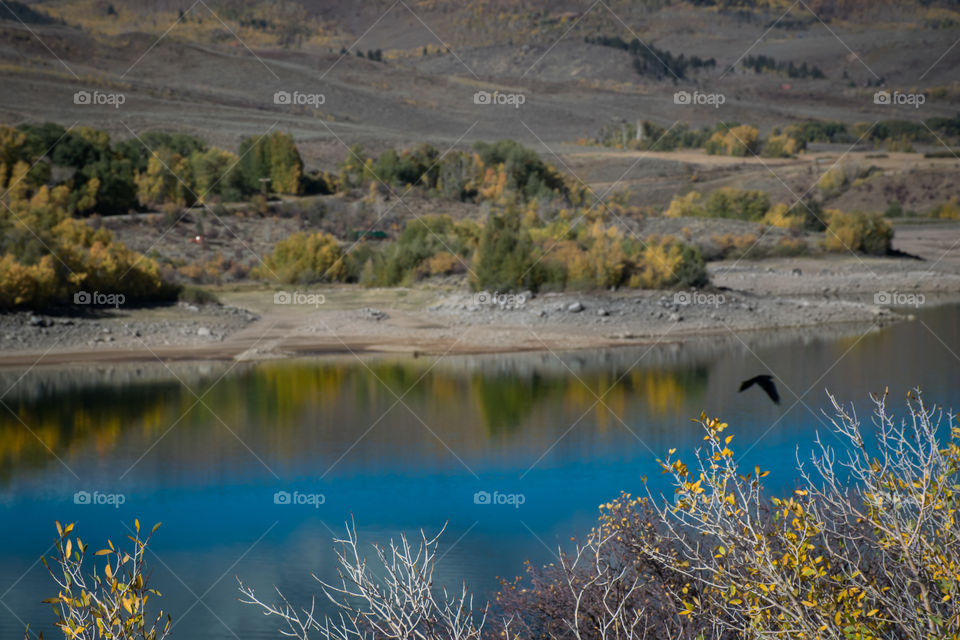 Incredible reflections 