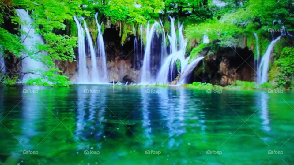 Water, Waterfall, Nature, Leaf, No Person