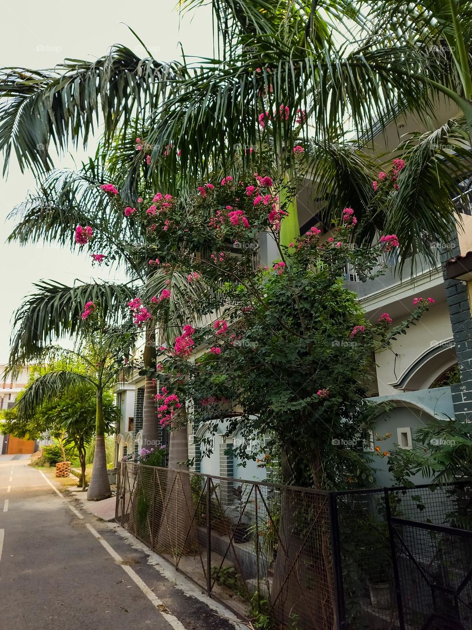 Blooming flowers are the symbol of spring