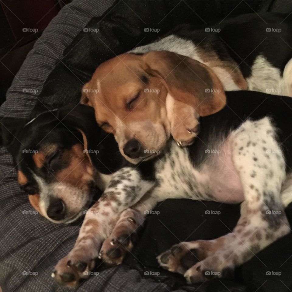 Sisterly love cuddles