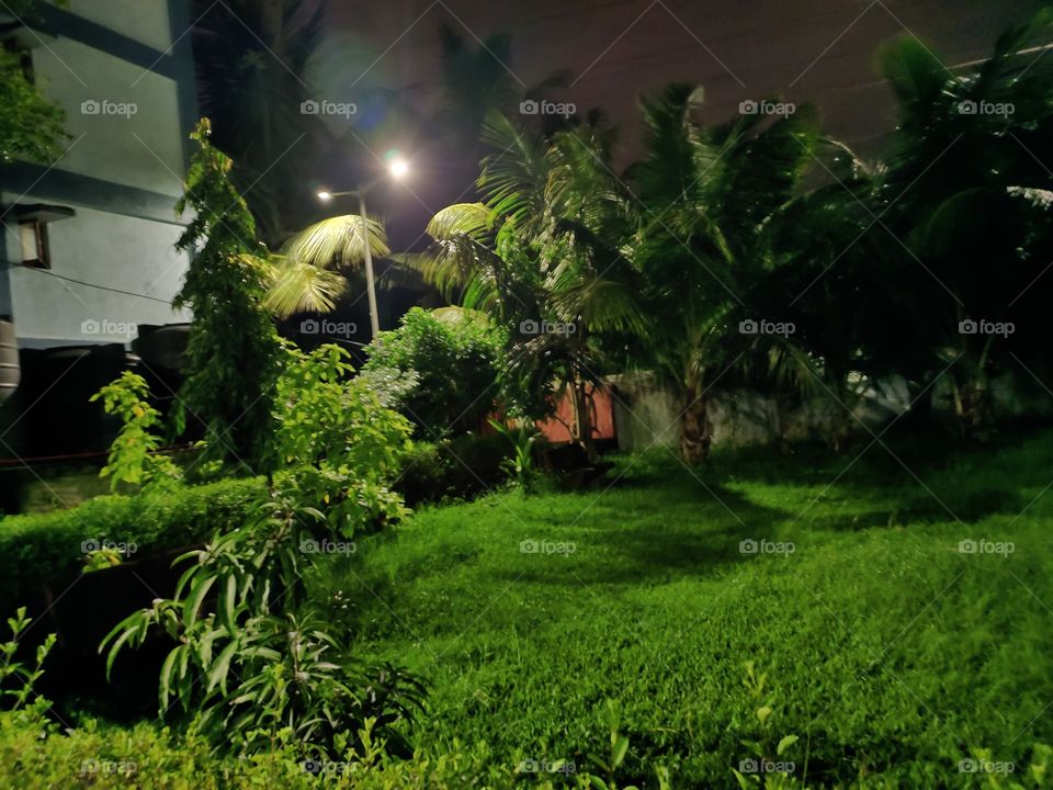 Landscape Mode
Night📸📸
🌿🌴🍀☘️🌱
Green Beauty