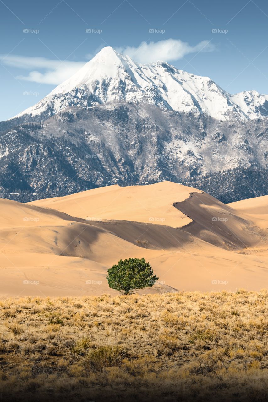 Layers of different desert landscapes lead towards a massive snowy mountain in Colorado