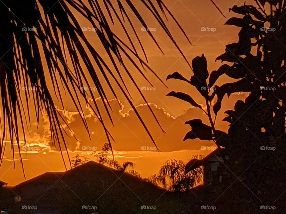 Riverview Florida sunset