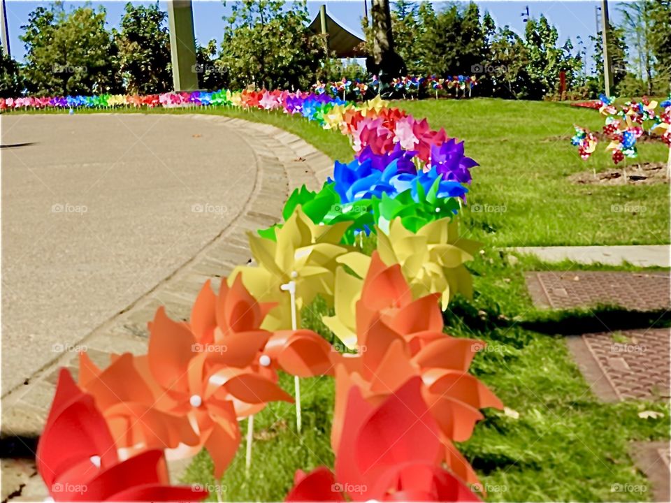 Rainbow of pinwheels in park
