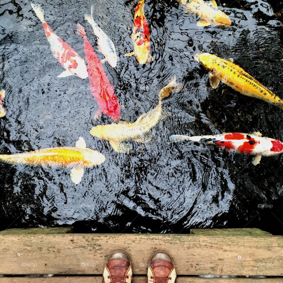 Flame, No Person, Action, Outdoors, Nature