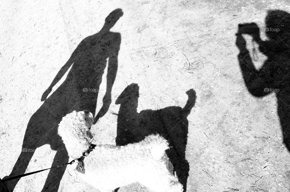 someone makes a foto of the shadows of a man and his dog