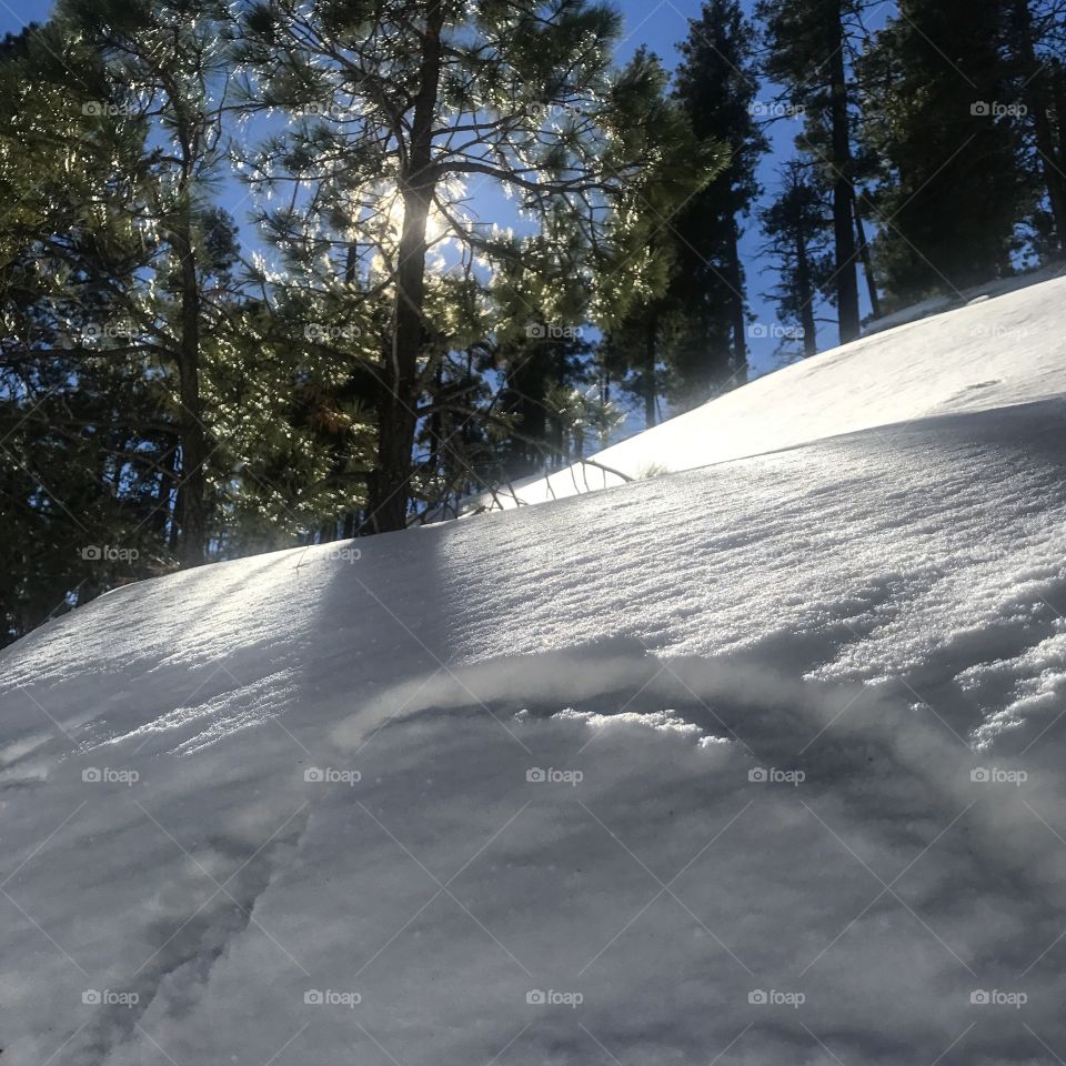 Nature Winter Landscape -Snow 