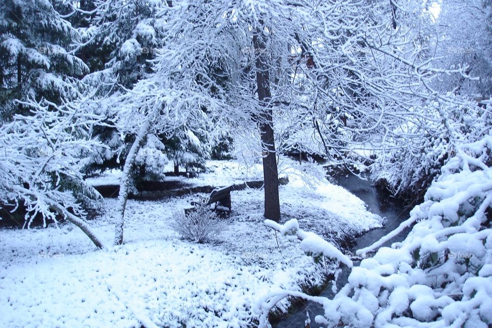 snowy brook