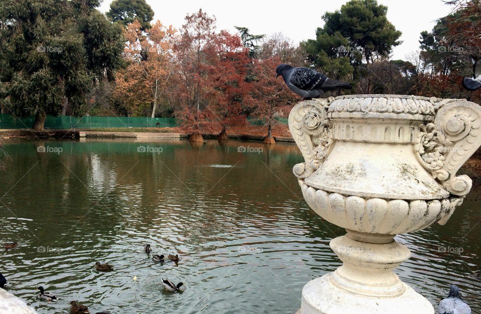 Espacios en la ciudad con espejos de agua nos ayudan a mejorar nuestra calidad de vida. NO los contaminamos ¡cuidesmoslo! Son nuestros.