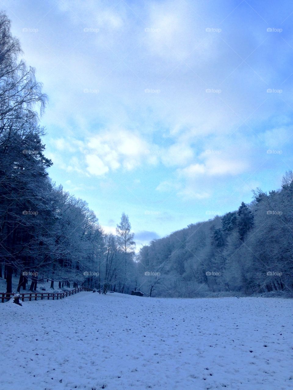 Snow, Winter, Cold, Frost, Landscape