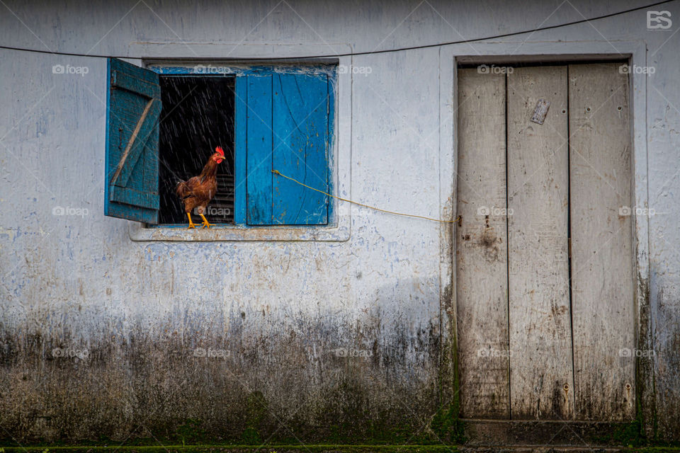 When OPPORTUNITY closes a DOOR, it opens a WINDOW!