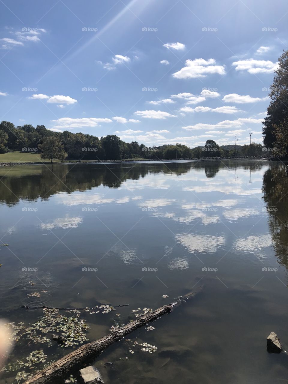 Double Picture Reflection 