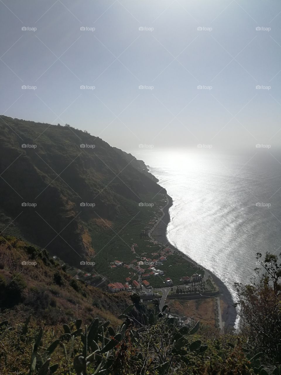 Madeira Island Landscape