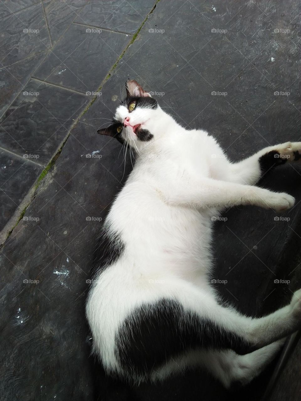 mom don't bother me. just want to relax