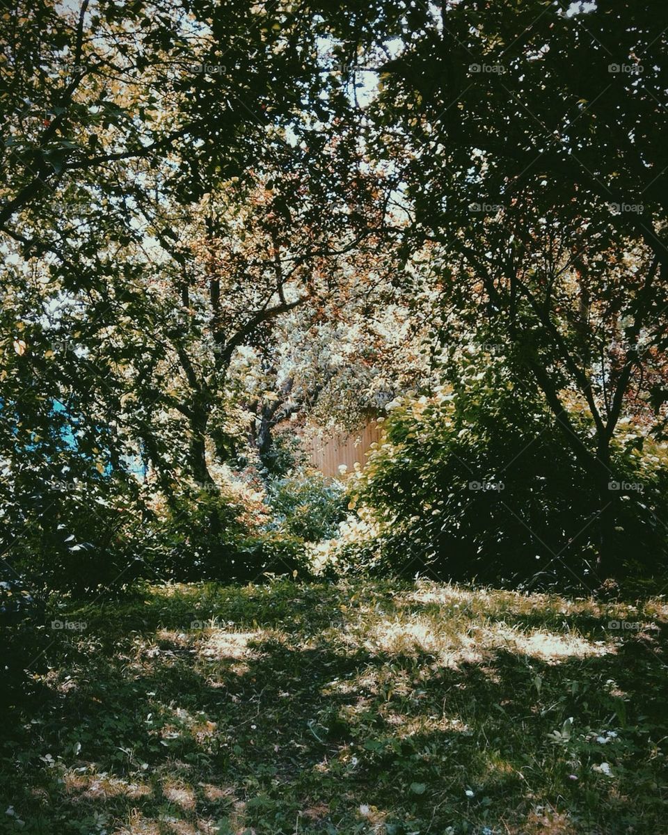 Lovely place