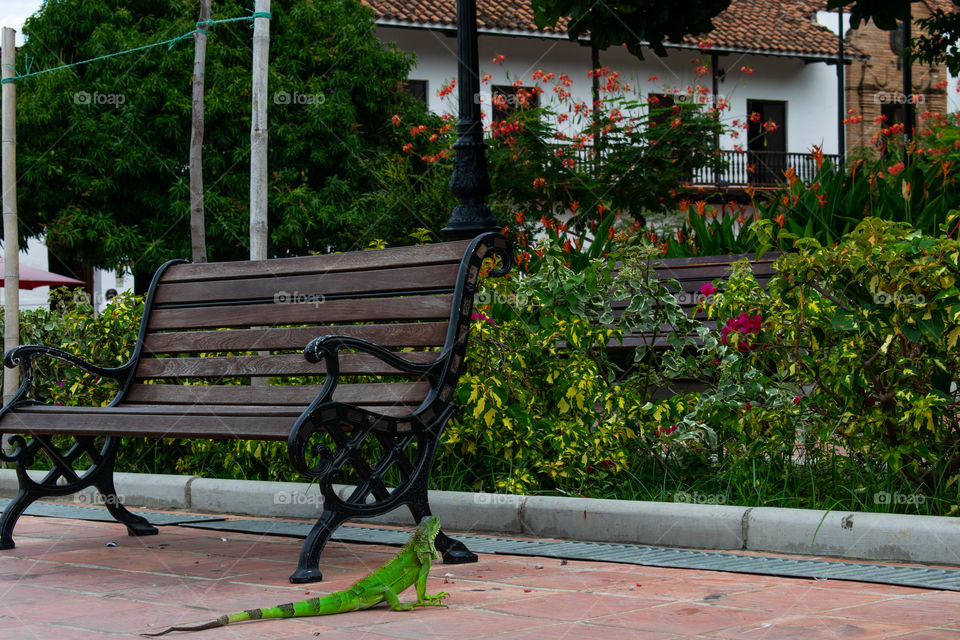 Santa fe de Antioquia