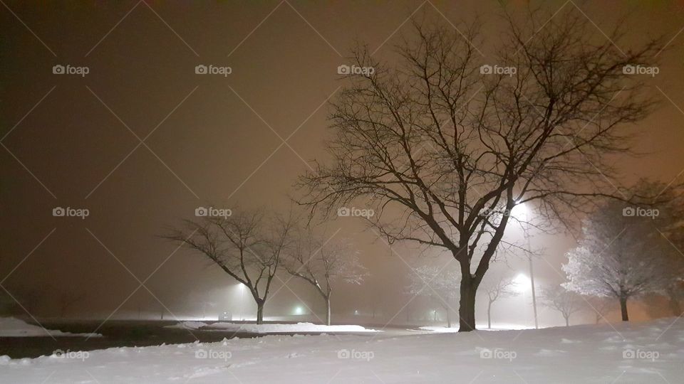 silhouettes in the snow