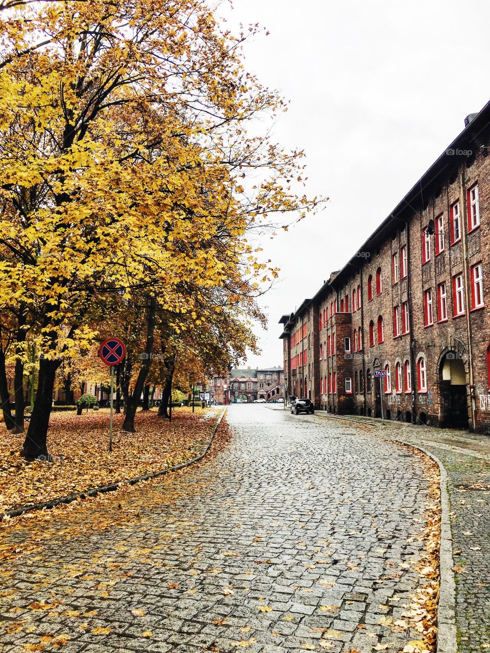 Autumn in Katowice, Poland.