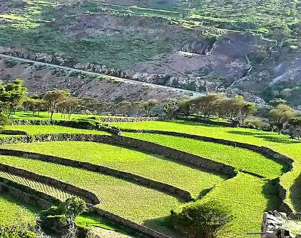 Glory be to God, the magnificent and picturesque view and the natural green trees are a view that is nothing more wonderful than it
