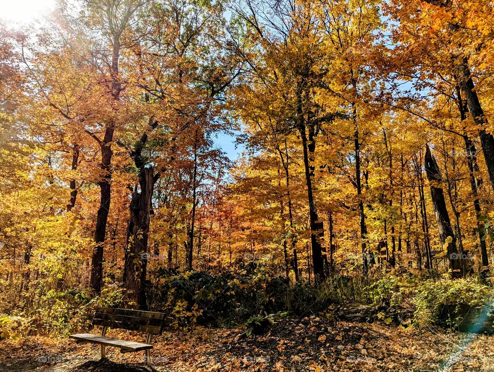 Fall