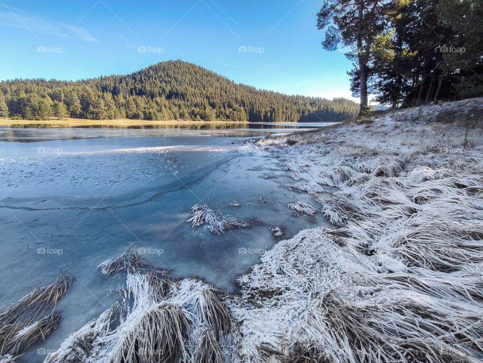 Frosty Marvels: Nature's Ice Artistry Frozen Lake