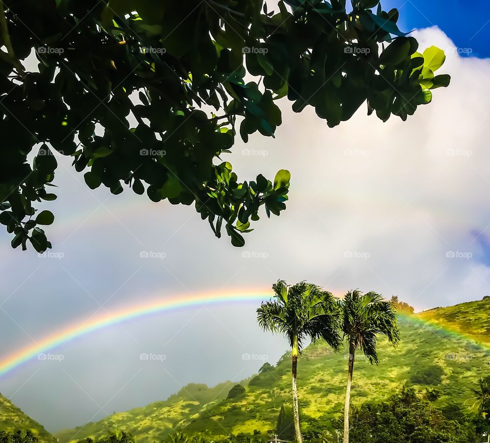 Rainbow Aina Haina Valley