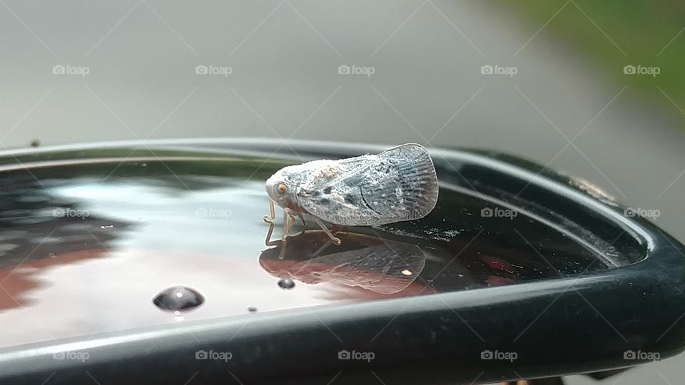 Reflection, No Person, Rain, Desktop, Nature