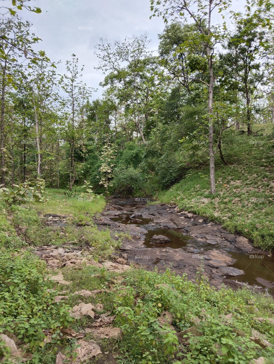 nature river photography