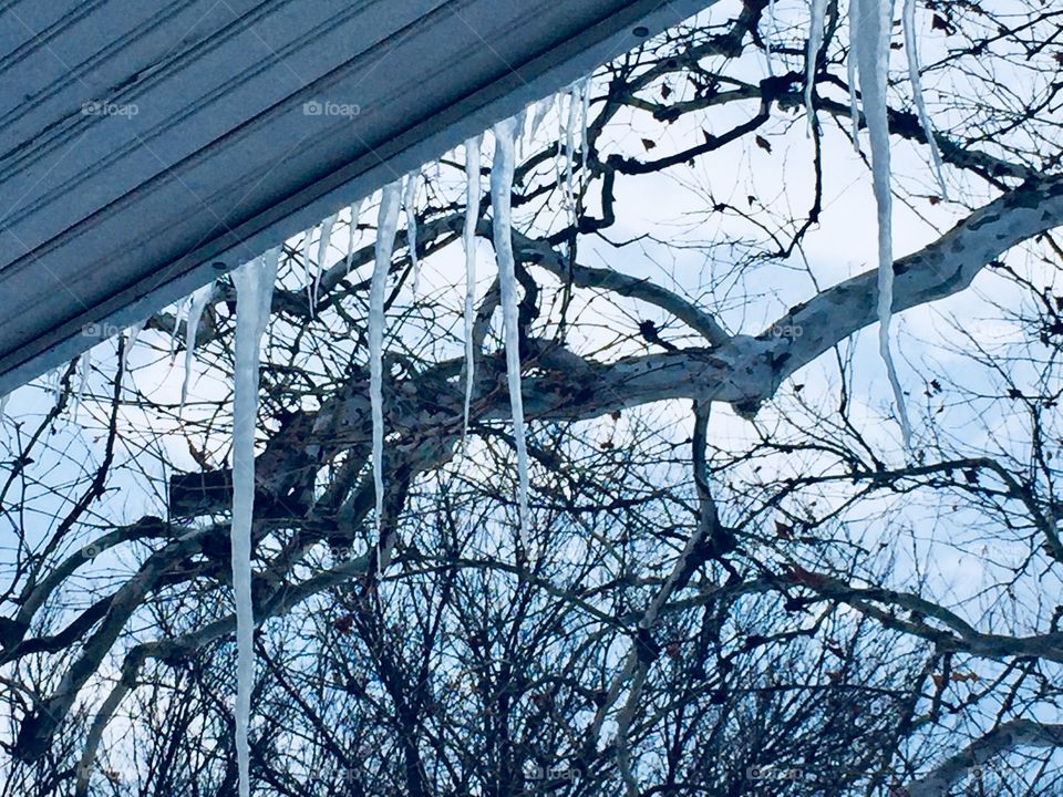 Icicles on a roof overhang against bare branches and a pale winter sky