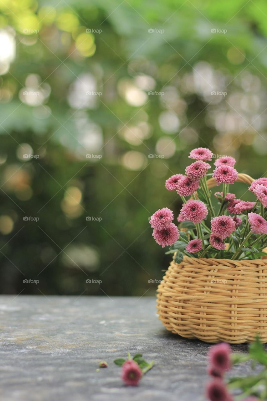 Pink flowers in a rattan vase on hand