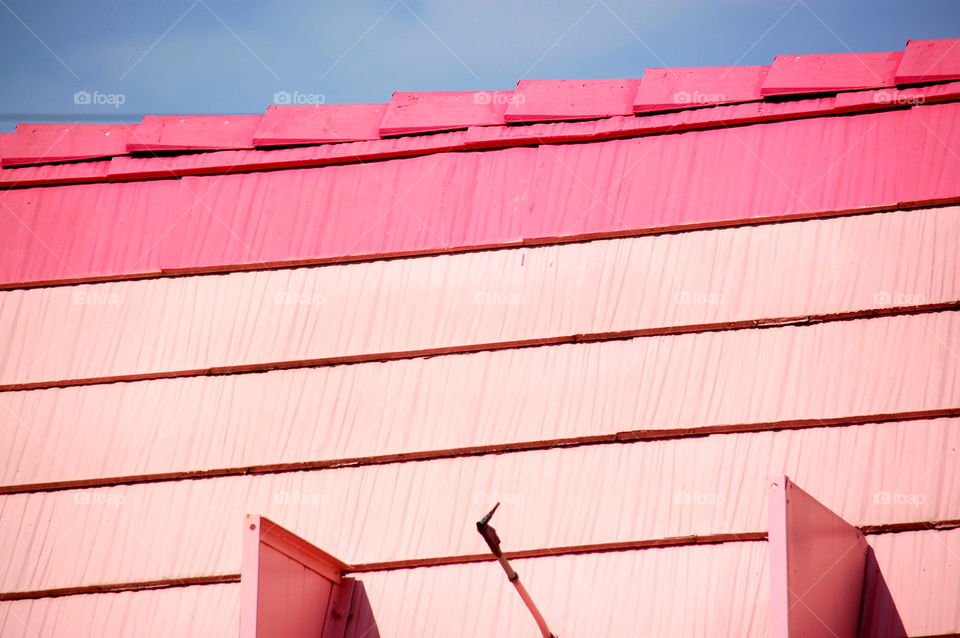 Close-up of pink roof