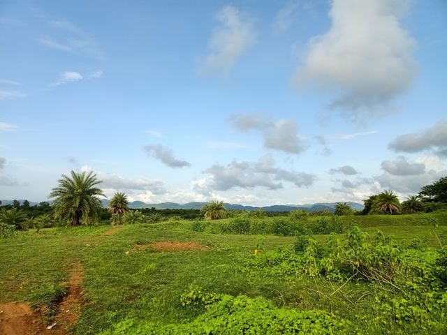 Nature