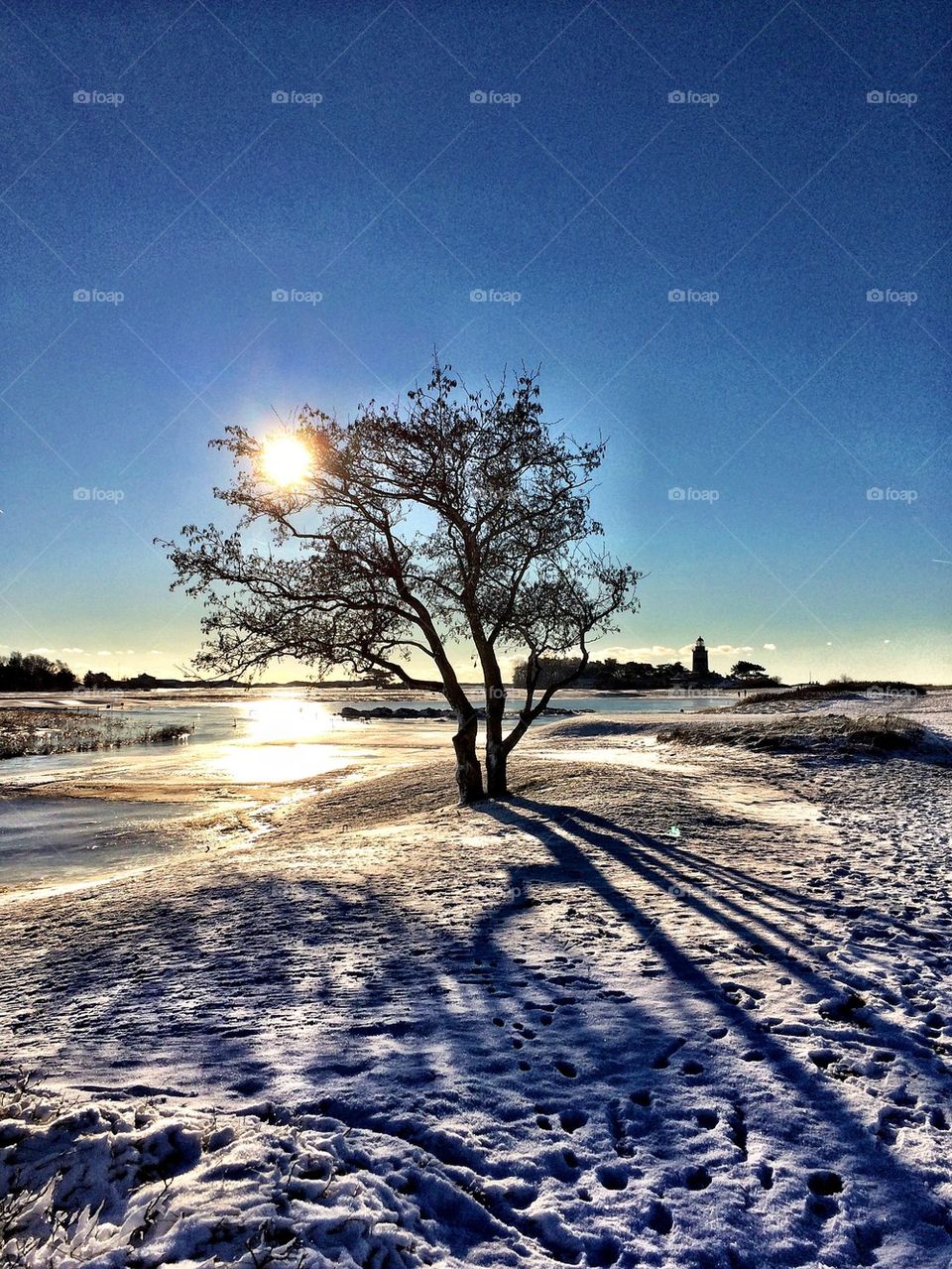 Winter at the golf court 