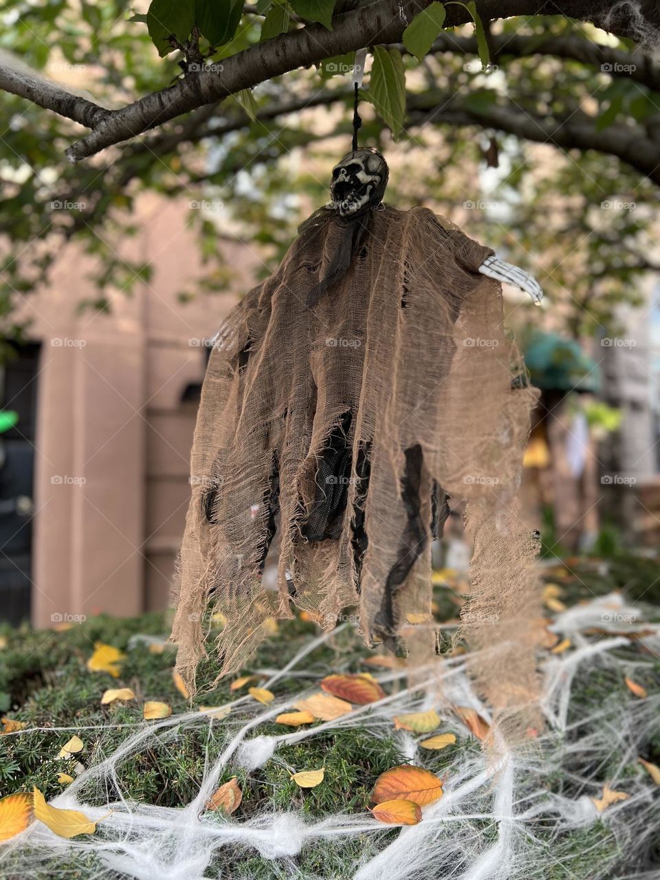Skeleton balance on tree 