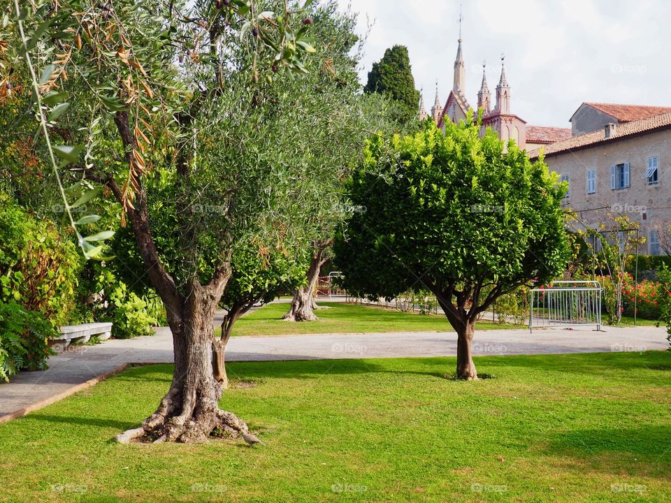 Gardens of the monastery in Cimiez in Nice, France.