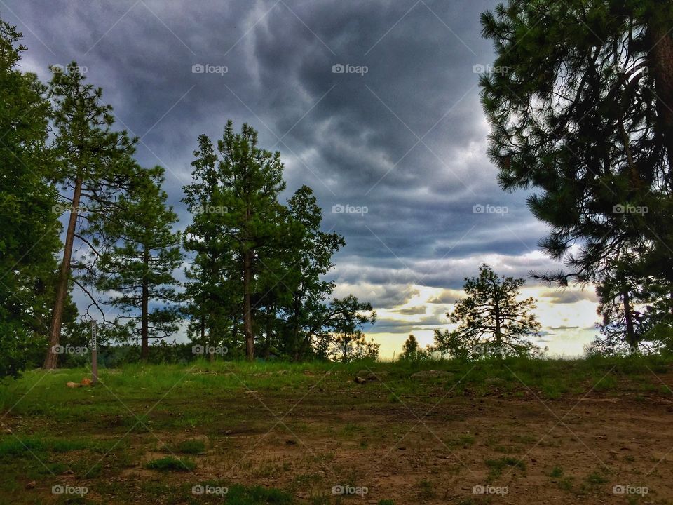 Cloudy day 🌦🌩 in Woods Canyon Lake. 