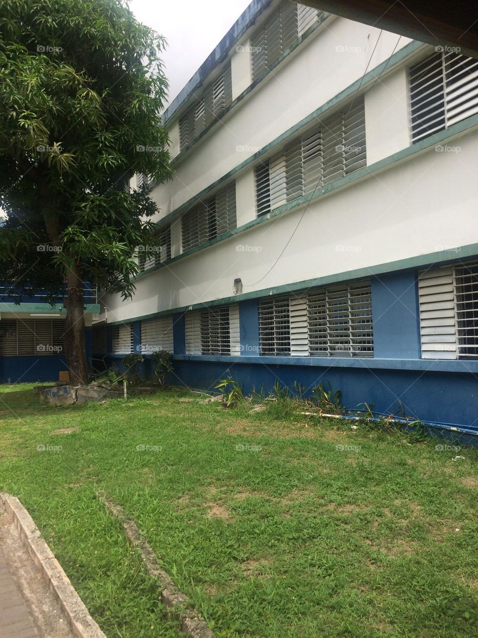 School Building 