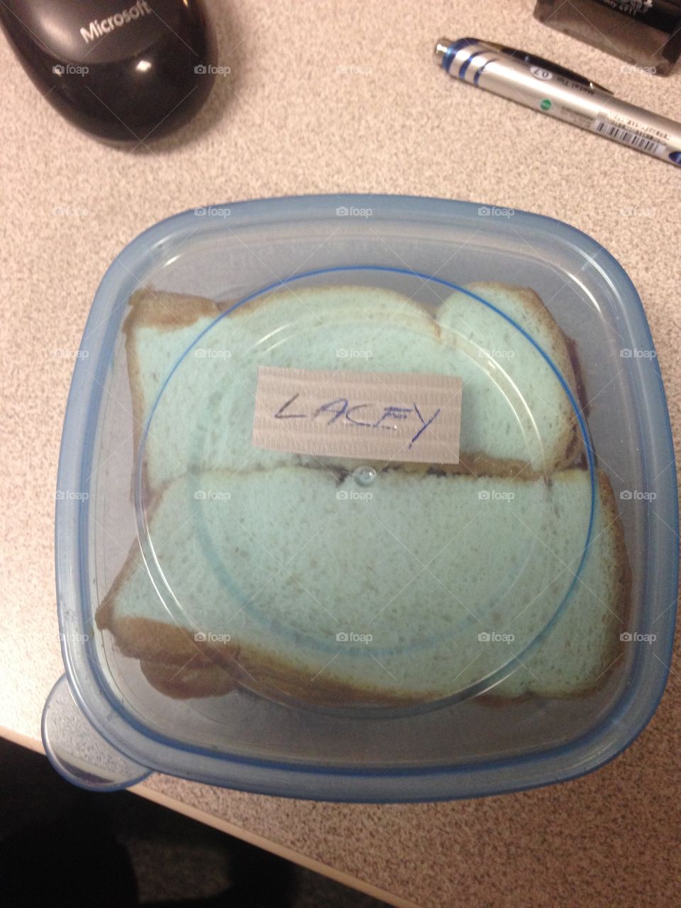 A nicely packaged sandwich for lunch at my desk. But wait, Lacey is the dog's name?!?