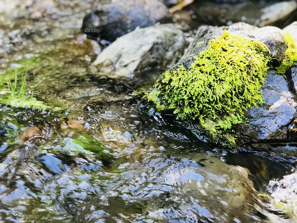 Refreshing life in streams