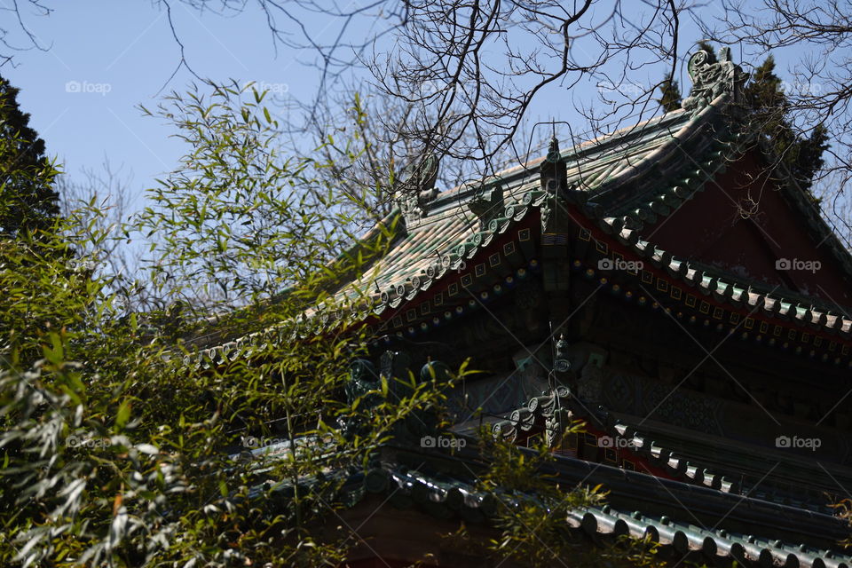 Asia China Beijing Ritan Park chinese temple temple park chinese culture chinese building in spring green trees rooftop