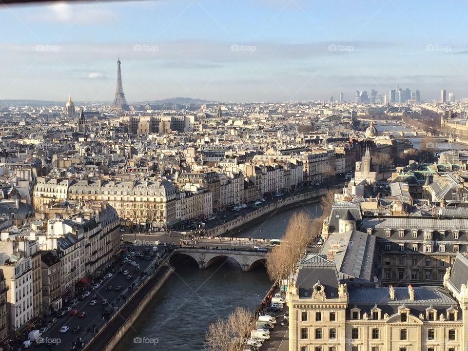 View of Eiffel tower and the city of Paris