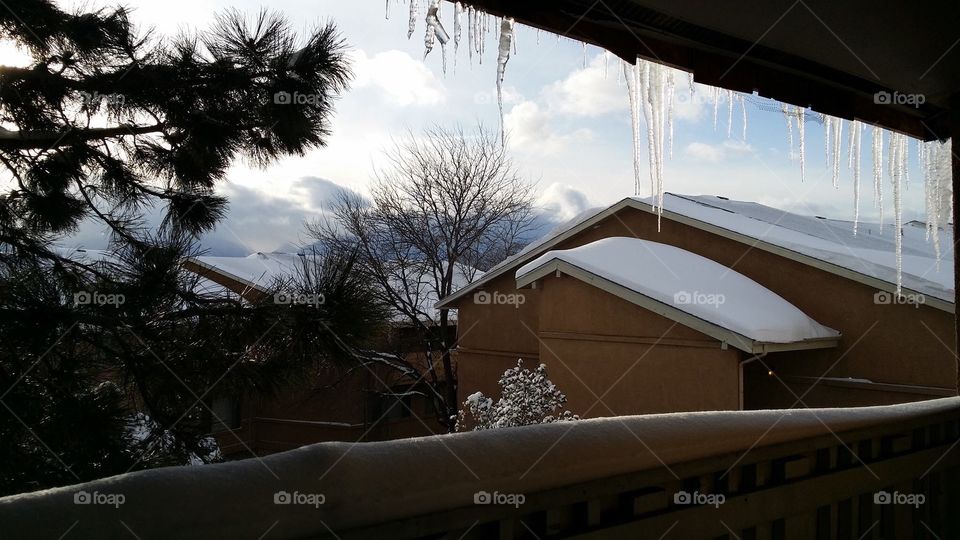 Colorado snow