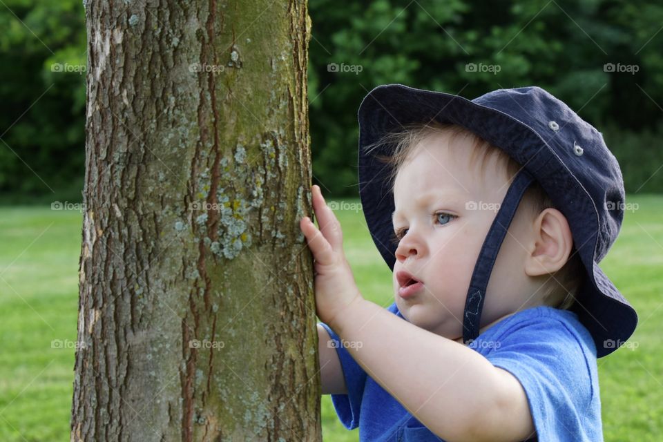 Cute toddler boy in hat having fun exploring nature and examining tree bark 