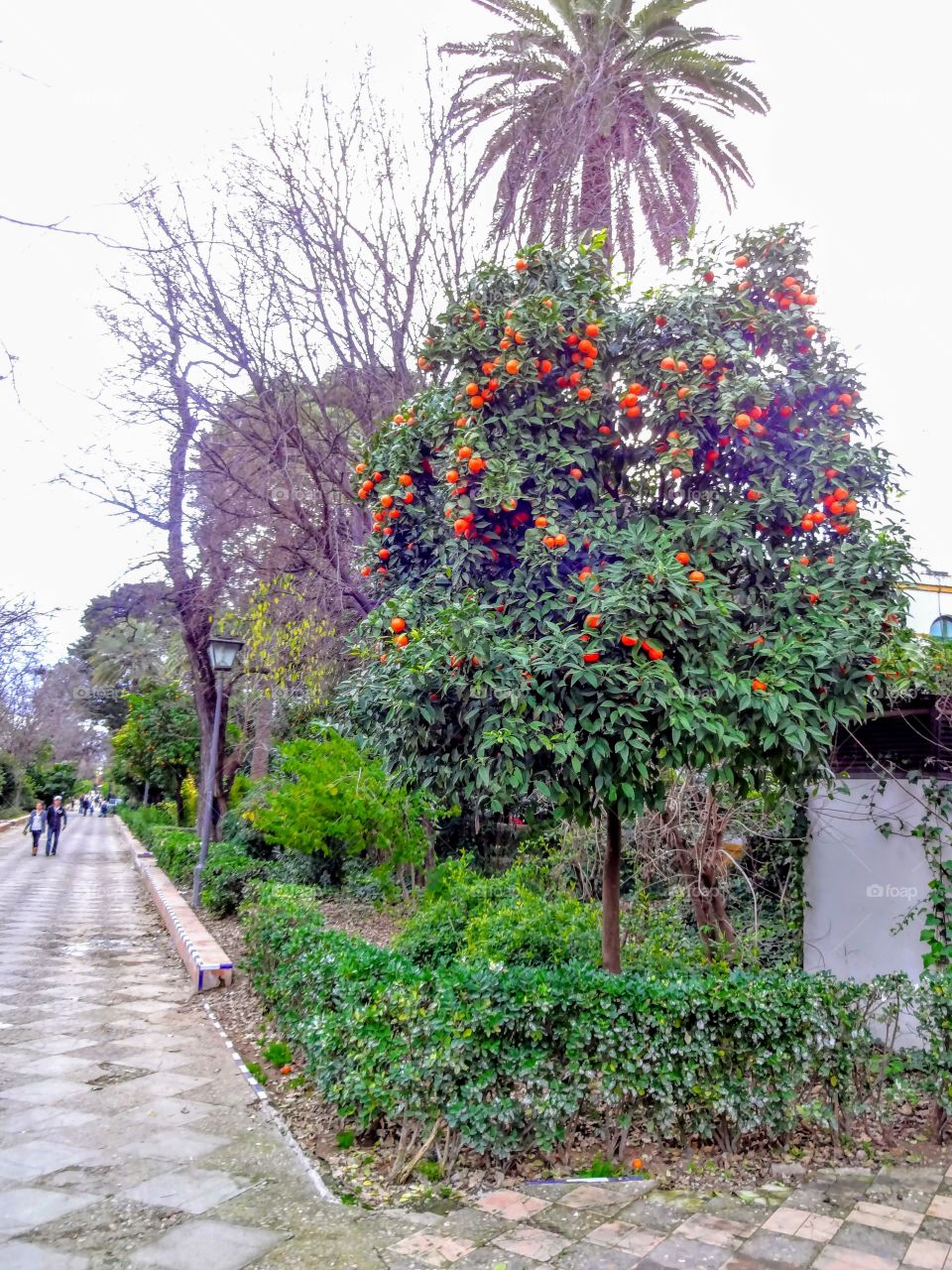 Sevilla, Spain