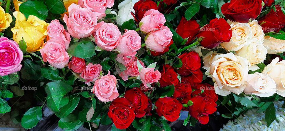 Natural vs Artificial