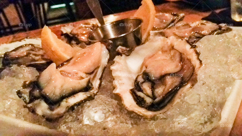 oysters