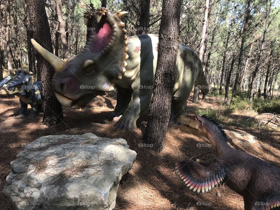 Dino parque Lourinhã 