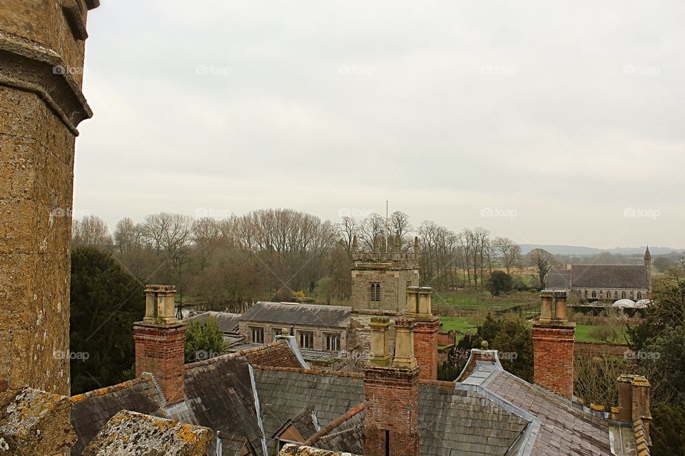 Rooftop landscape