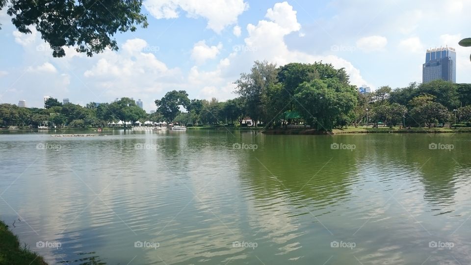Lake in a park in Bangkok